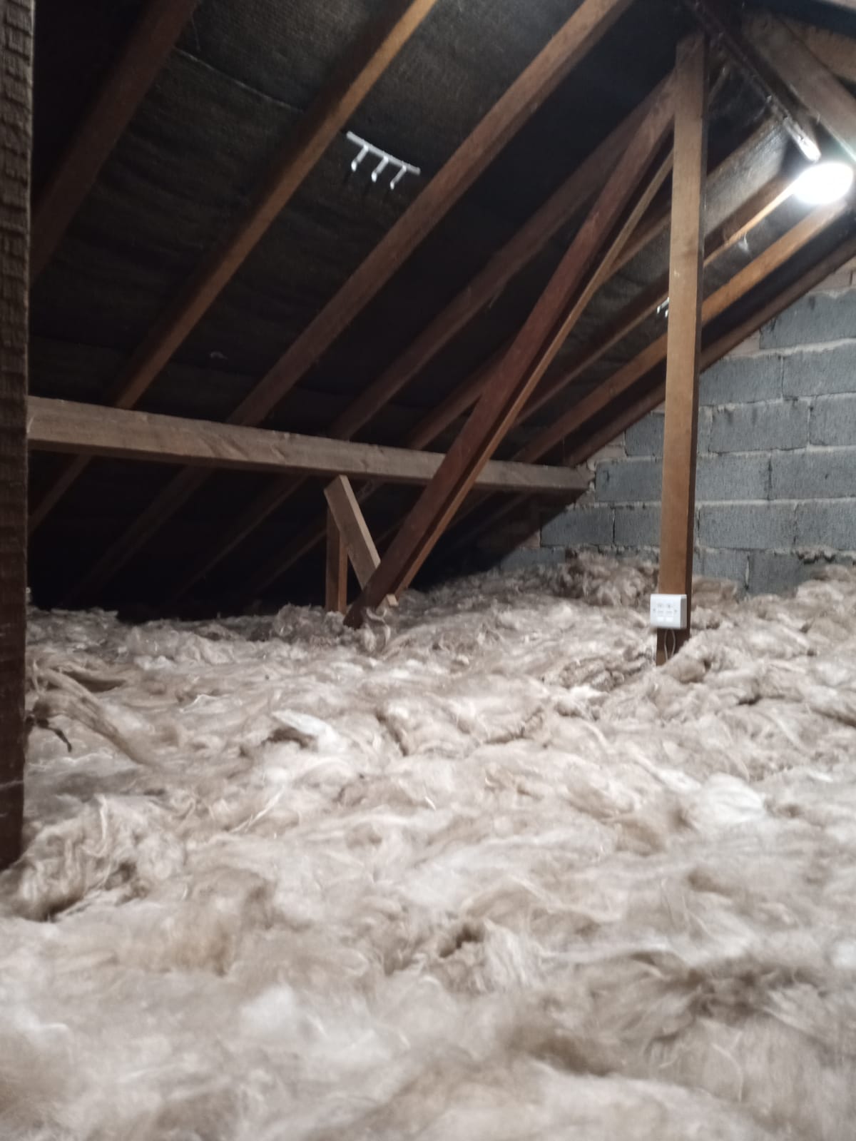 Picture shows an insulated loft space